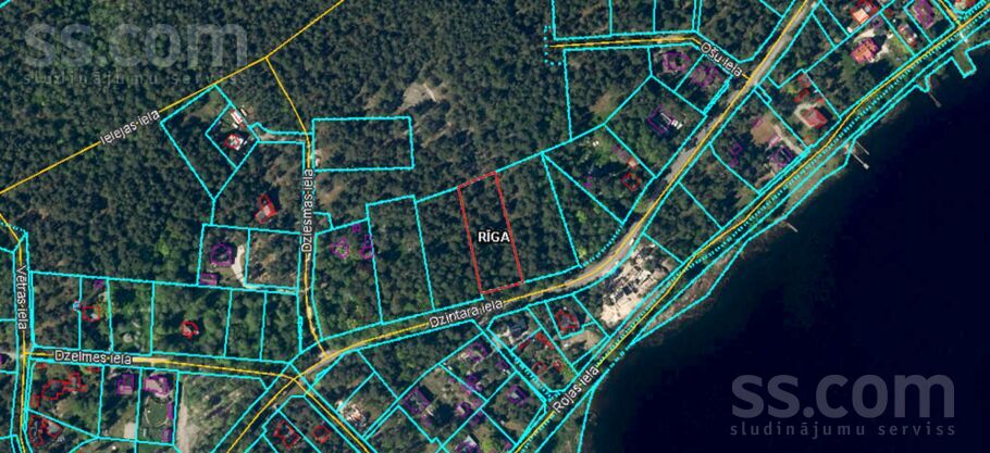 Dzintara, Rīga — zeme