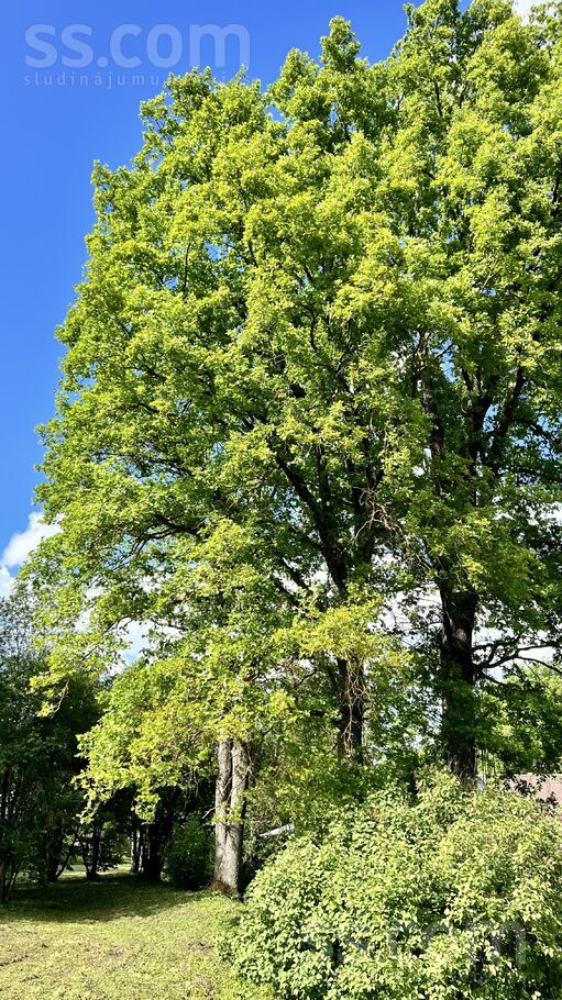 A. Pumpura 3b, Ogre un raj., Lielvārde — zeme