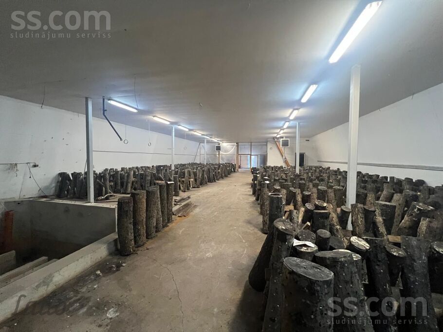 Nākotnes iela, Skujene, Cēsis un raj., Skujenes pag. — telpa