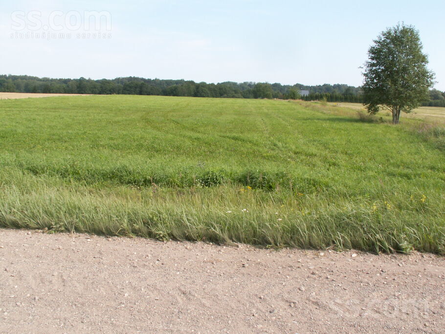 Nav, Lāde, Limbaži un raj., Limbažu pag. — zeme