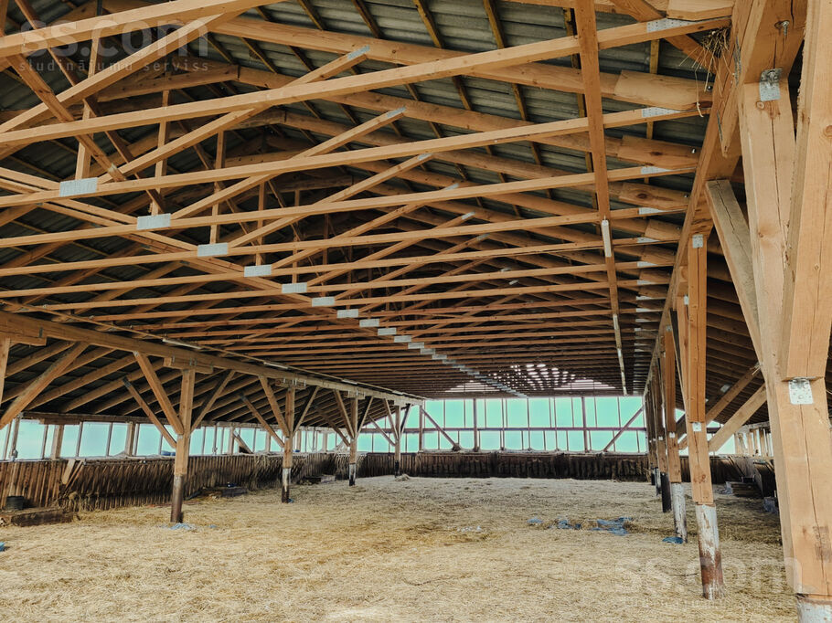 Saules, Vurpuļi, Ludza un raj., Nirzas pag. — zeme