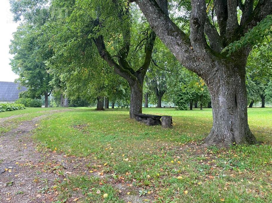 Ezersala 1, Ezersala, Ludza un raj., Zvirgzdenes pag. — maja