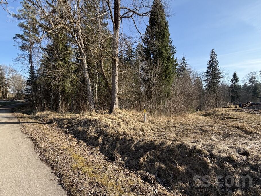 Terces 1, Ogre un raj., Ogre — zeme