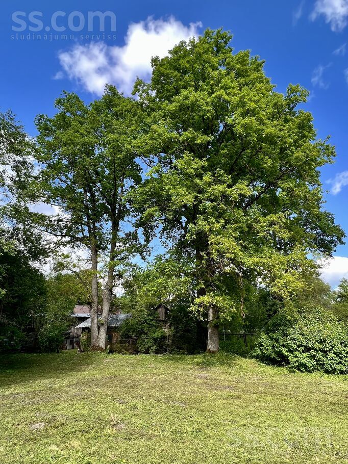 A. Pumpura 3b, Ogre un raj., Lielvārde — zeme