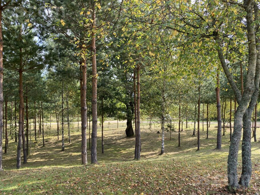 Stūriņi, Ķekava, Rīgas rajons, Ķekavas pag. — zeme