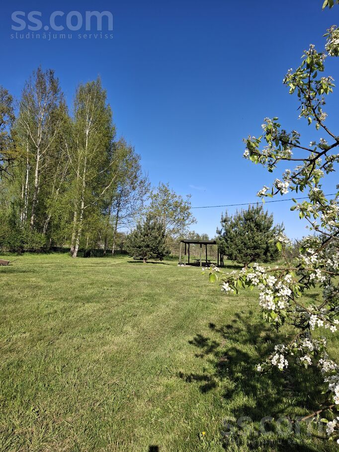 Dzintari, Cimāles, Jelgava un raj., Līvbērzes pag. — maja