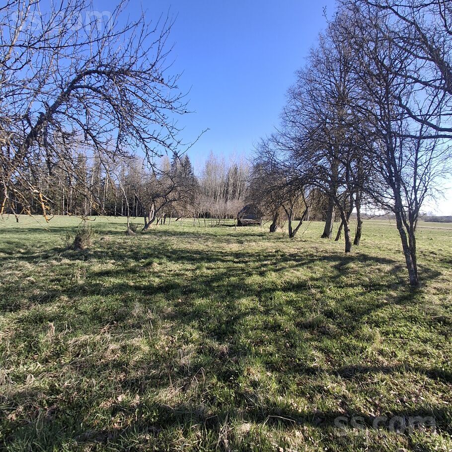 Repši, Rēzekne un raj., Sokolku pag. — vienseta