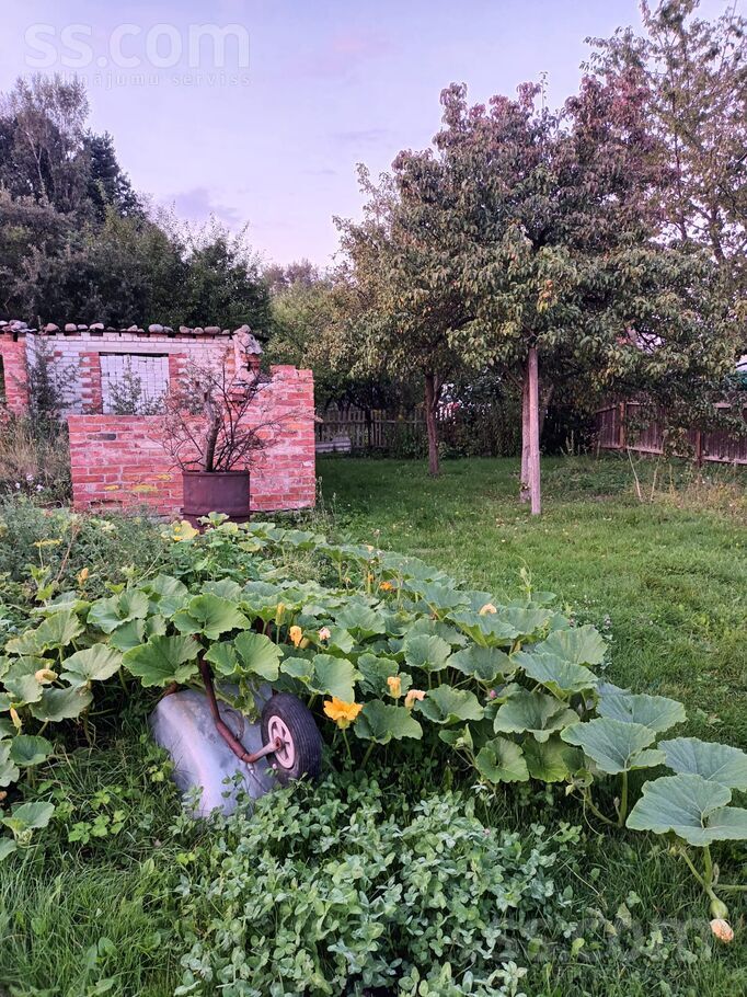 31 6, Šķēde, Liepāja un raj., Medzes pag. — maja