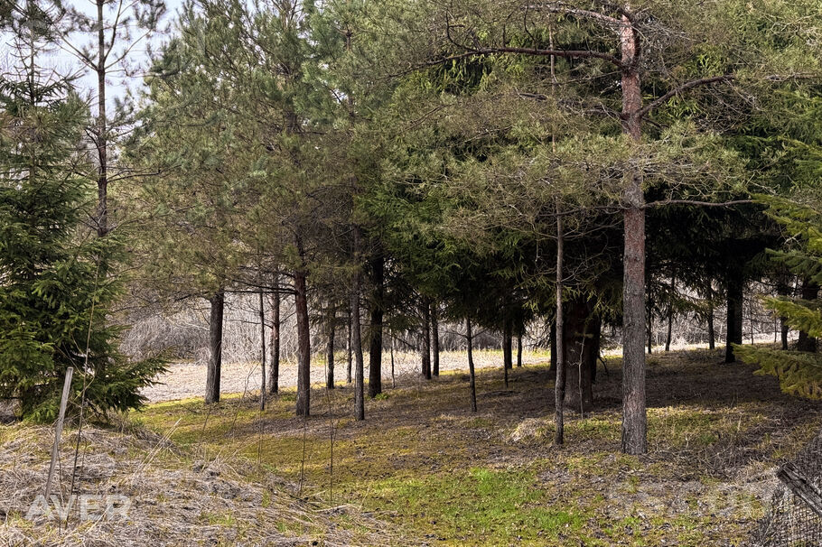 Ziedu iela 12, Silene, Daugavpils un raj., Skrudalienas pag. — maja