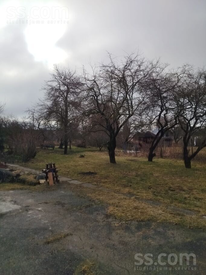 Ciekuri, Ozolaine, Bauska un raj., Vecsaules pag. — maja