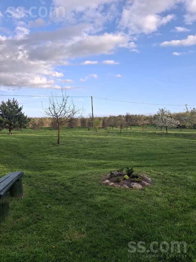 Dzintari, Cimāles, Jelgava un raj., Līvbērzes pag. — maja