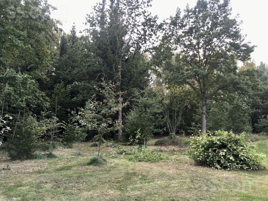 Limbaži un raj., Liepupes pag. — mezs
