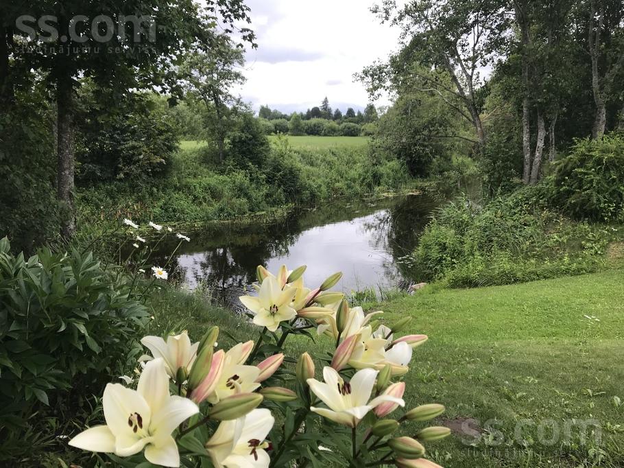 Kalnezera iela, Tīnūži, Ogre un raj., Ikšķiles l. t. — zeme