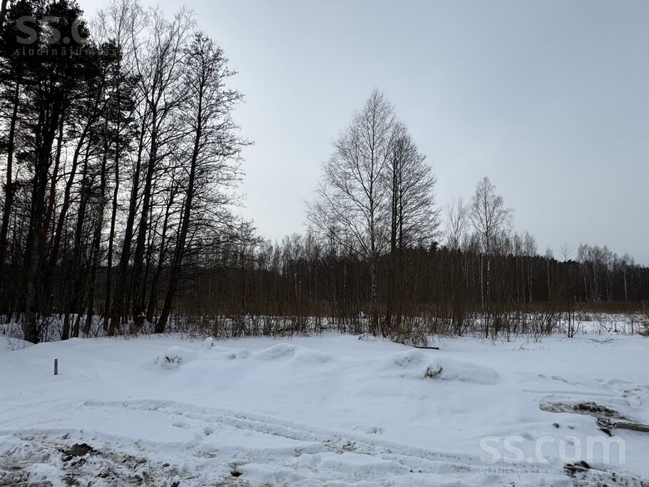 Bebriņi, Piņķi, Rīgas rajons, Babītes pag. — zeme