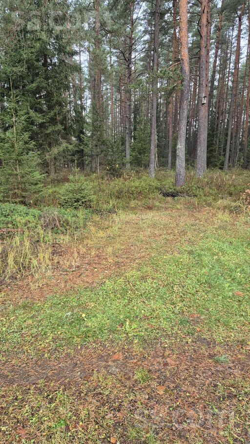 Cīruļu 9, Skulte, Limbaži un raj., Skultes pag. — zeme