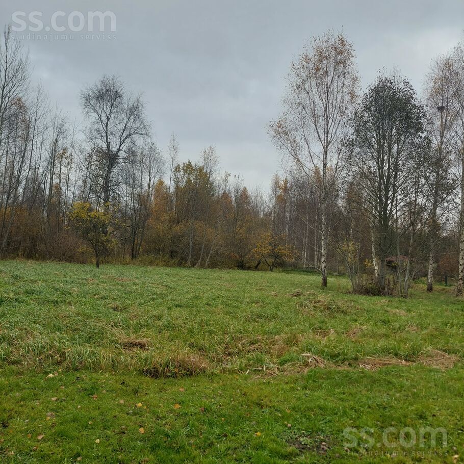 Rogu ceļš 11.o, Jelgava un raj., Jelgava — zeme