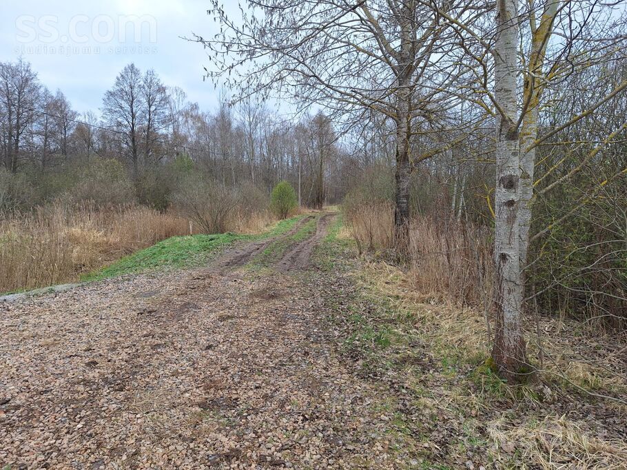 Cinīši, Bauska un raj., Stelpes pag. — zeme