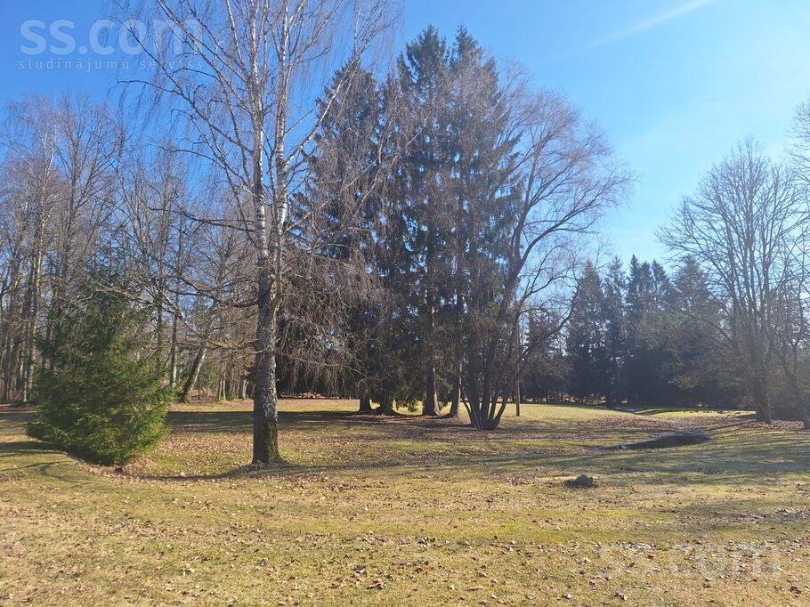 Bauska un raj. — vienseta