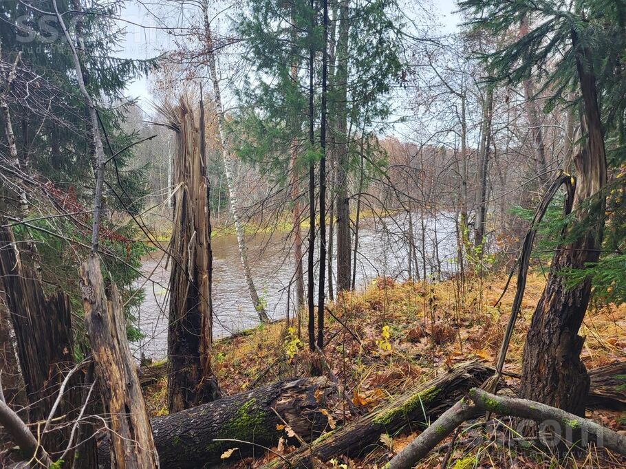 Nomalnieki, Vireši, Alūksne un raj., Virešu pag. — zeme