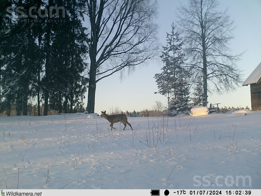 Valka un raj., Ērģemes pag. — vienseta