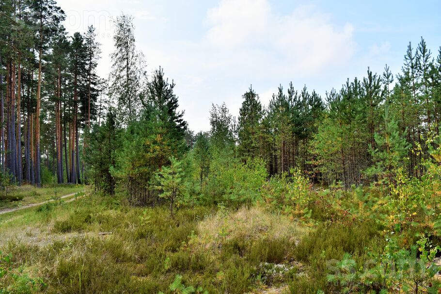 Kociņi, Kadaga, Rīgas rajons, Ādažu nov. — zeme