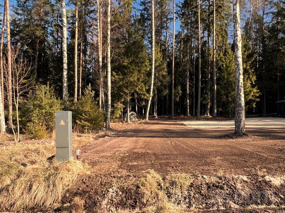 Bērzu iela 14, Rīgas rajons, Saulkrasti — zeme