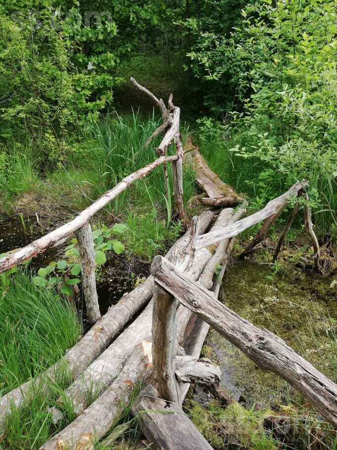 Lamiņi, Tukums un raj., Pūres pag. — vienseta