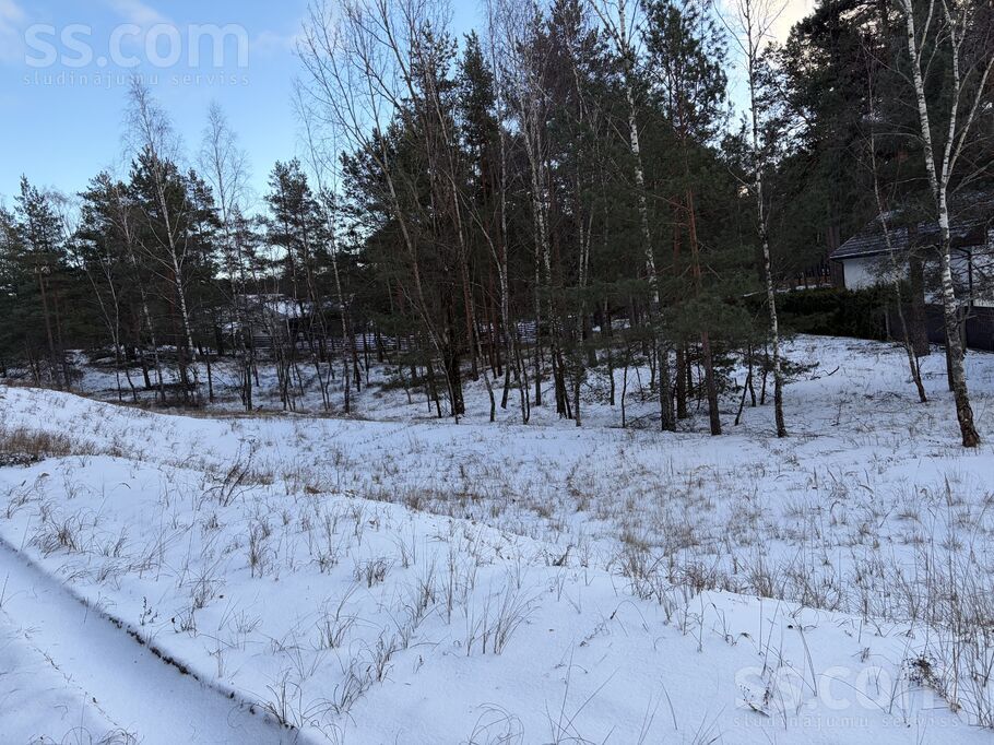 Brīzes 34, Rīga — zeme