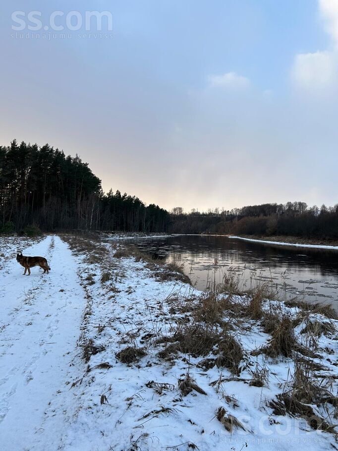 Bez, Gauja, Rīgas rajons, Inčukalna nov. — zeme