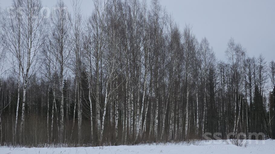 Krauļi 1, Bauska un raj., Bauska — zeme