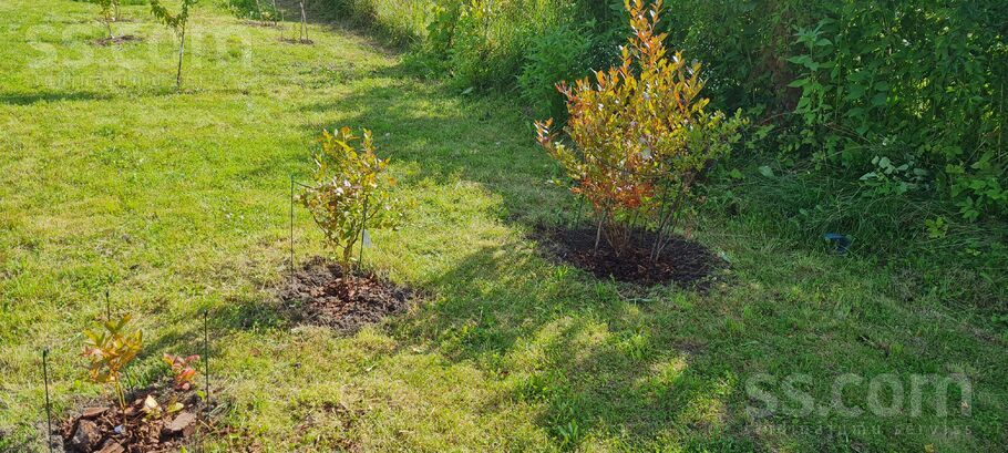 Selgas 1a, Aizkraukle un raj., Pļaviņas — zeme