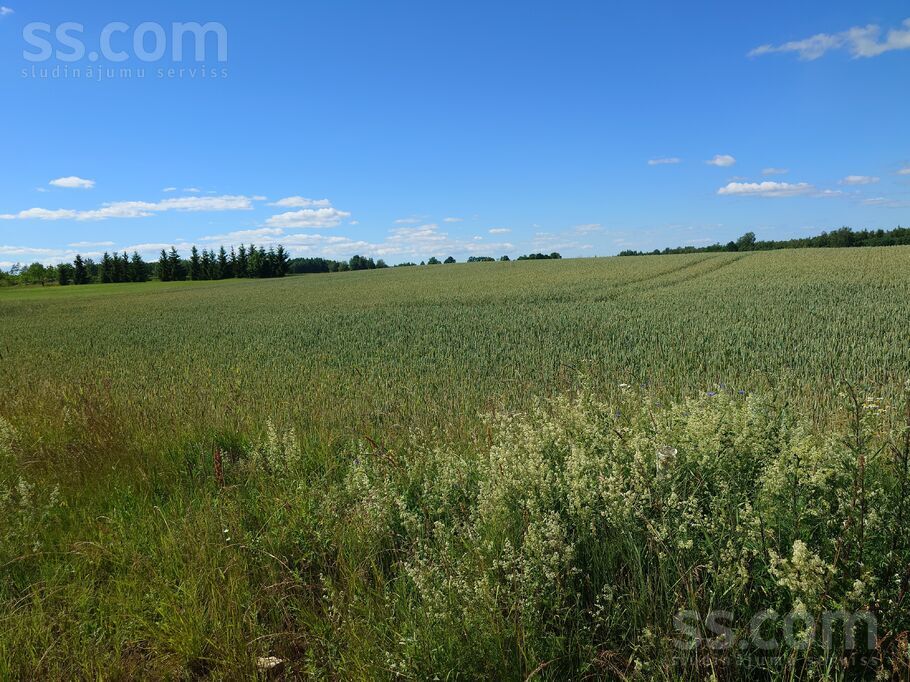Krasta iela, Bukupe, Saldus un raj., Zirņu pag. — zeme