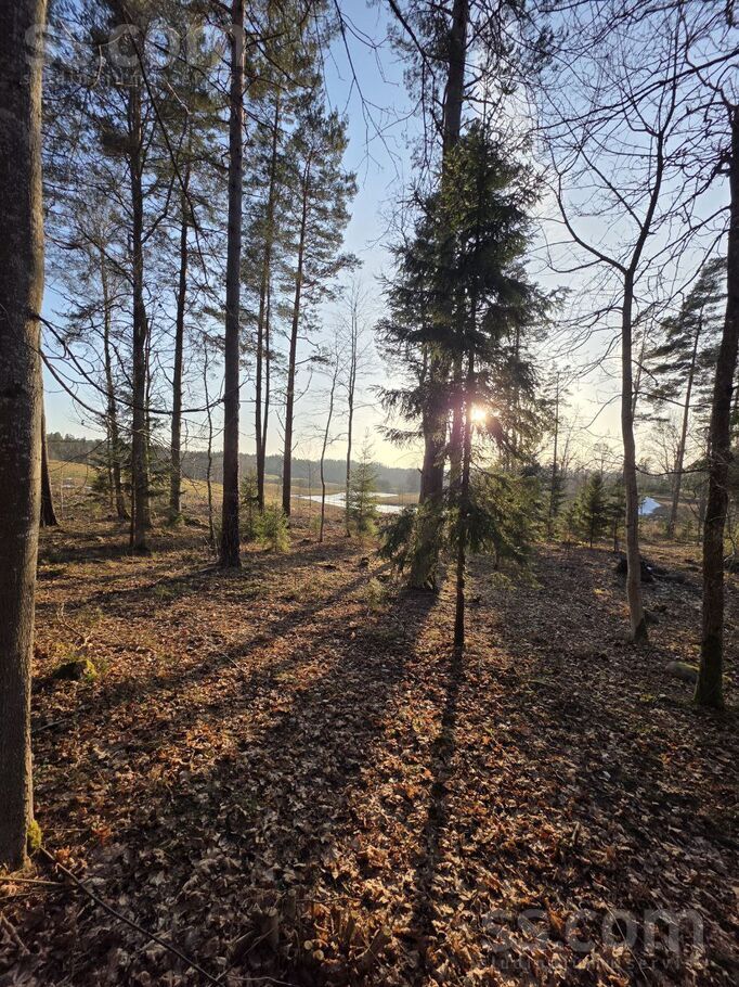 Zemes elpa, Raiskums, Cēsis un raj., Raiskuma pag. — zeme