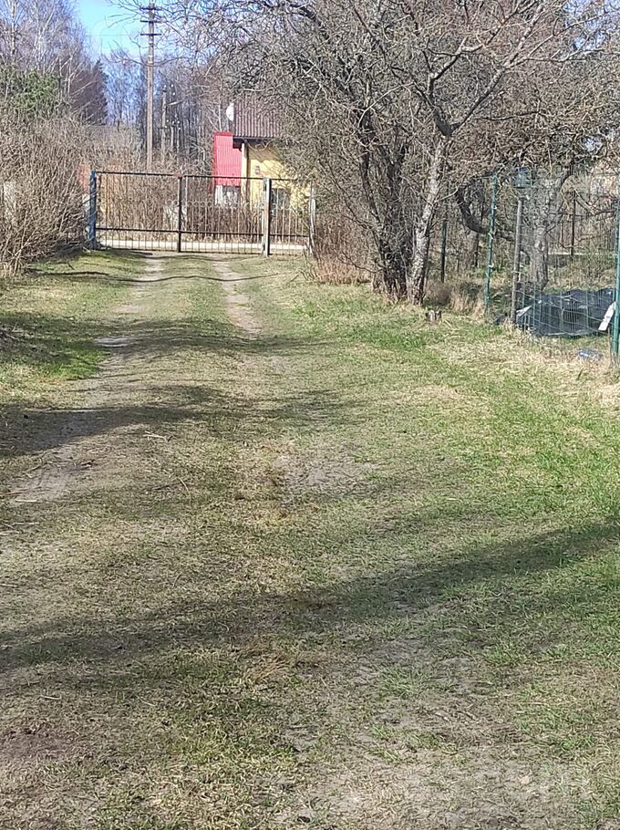 Ceriņi M 32, Jāņupe, Rīgas rajons, Olaines pag. — maja