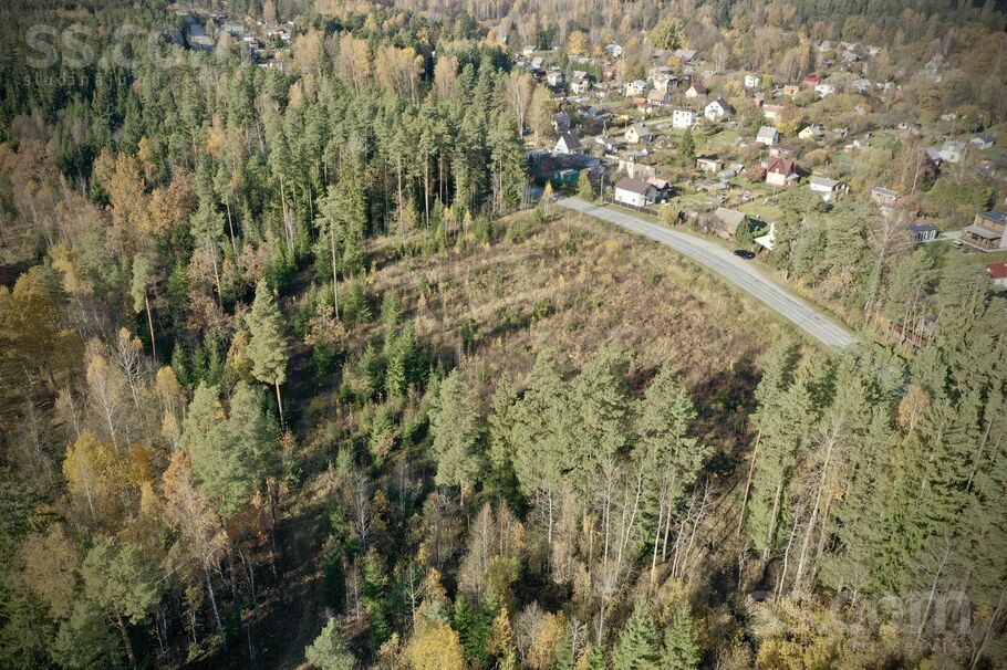 80700181054, Dzērumi, Rīgas rajons, Ķekavas pag. — zeme