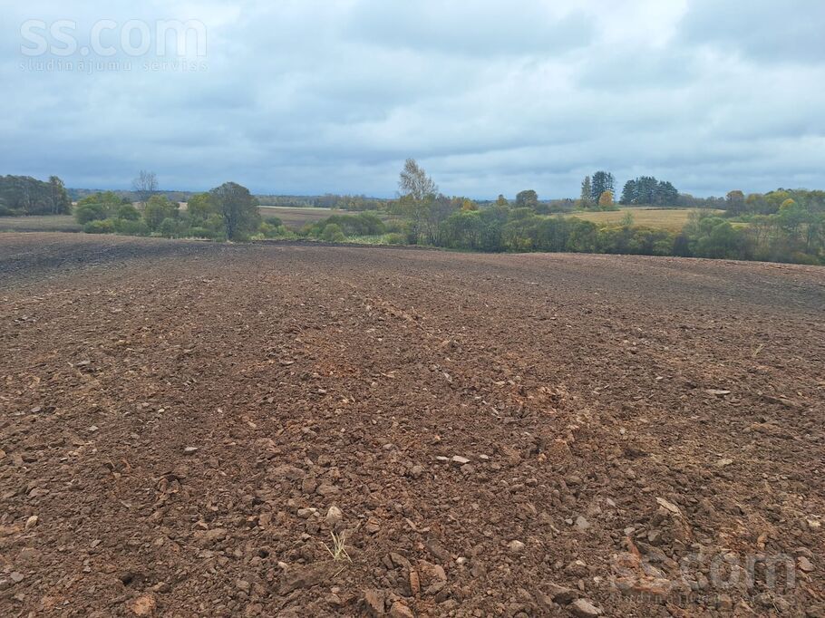 Alkšņu lauki, Krāslava un raj., Izvaltas pag. — zeme