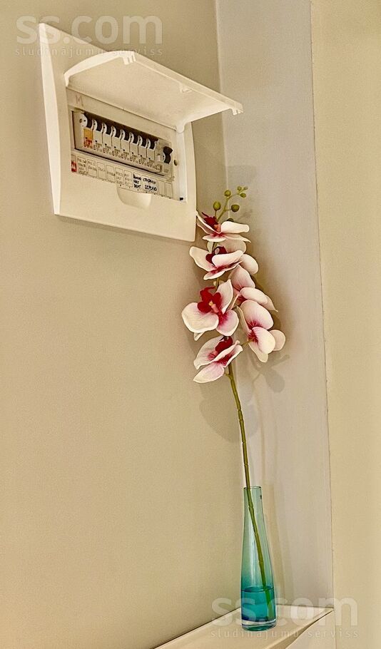 Saldus 3, Jūrmala — dzivoklis