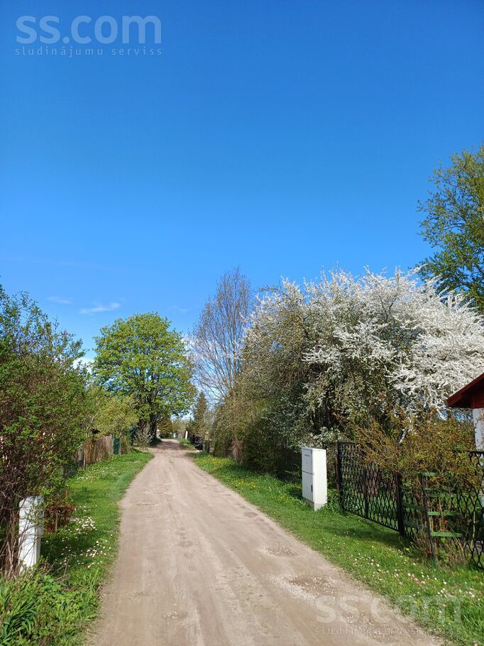 Dārziņu 21. l., Rīga — maja