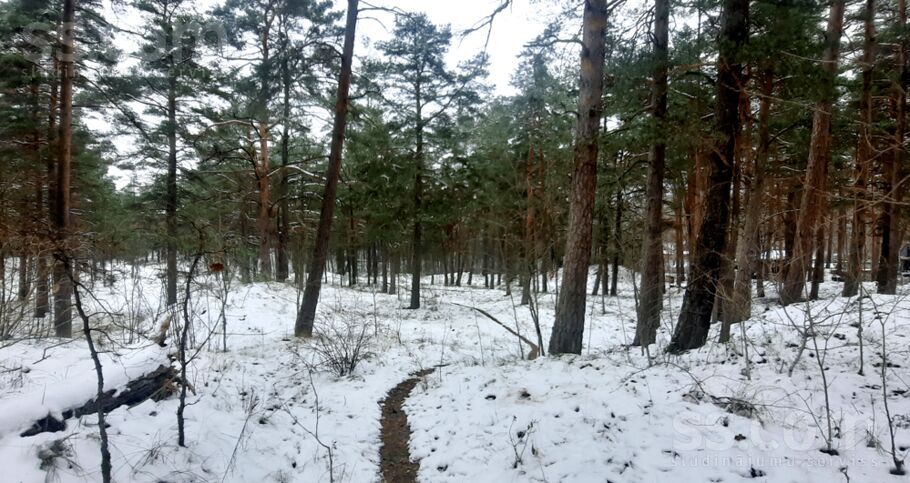 Dzintara, Rīga — zeme