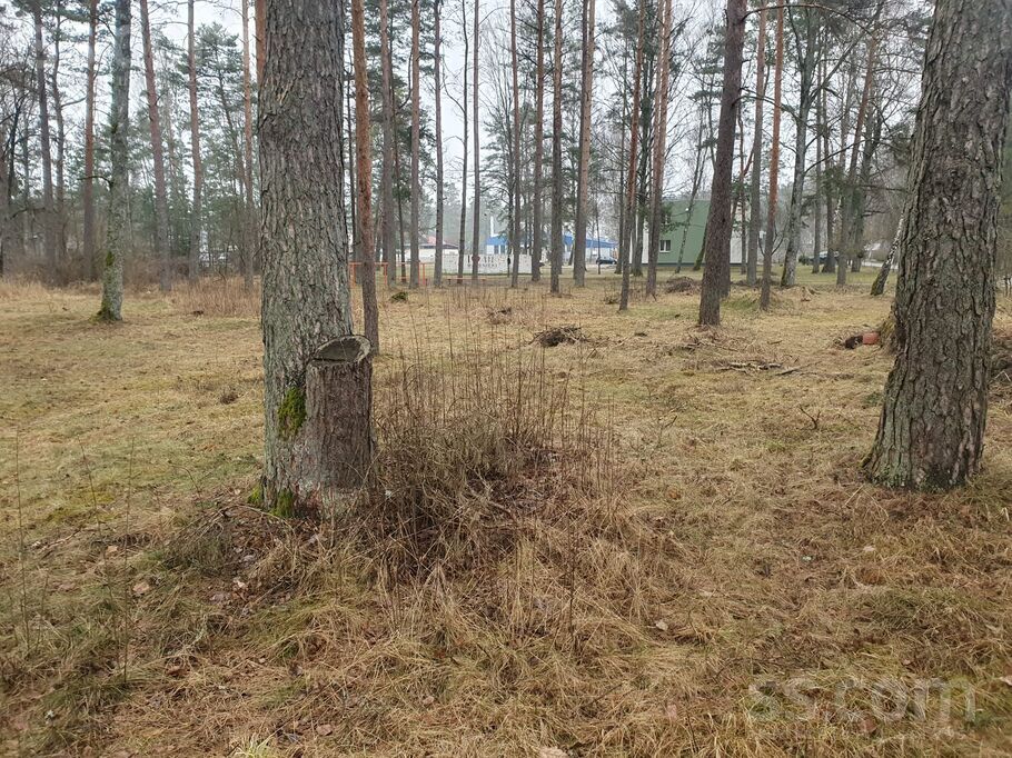 Jaunceltnes iela, Mucenieki, Rīgas rajons, Ropažu nov. — zeme