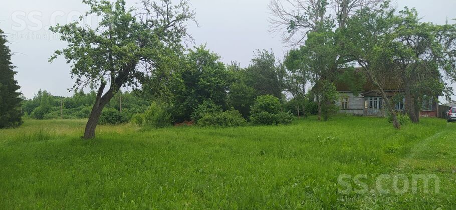 Līvānu 23, Brigi, Ludza un raj., Briģu pag. — zeme