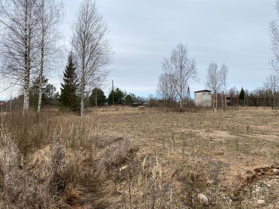 Liepu iela 7, Auciems, Cēsis un raj., Raiskuma pag. — zeme