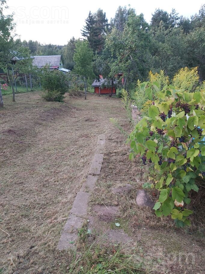 Dainas 8, Ludza un raj., Ludza — zeme