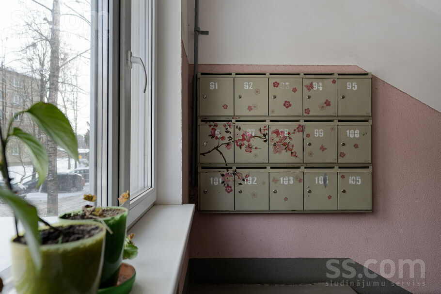 Katoļu iela 17, Jelgava un raj., Jelgava — dzivoklis