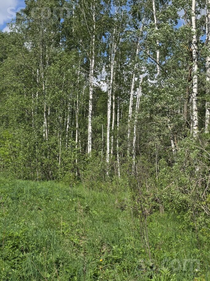 Stankeviči, Krāslava un raj., Andrupenes pag. — mezs