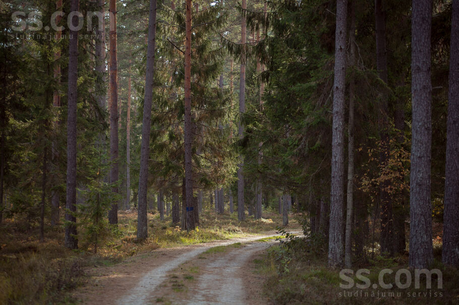 Upes krasts, Līči, Rīgas rajons, Saulkrastu l. t. — zeme