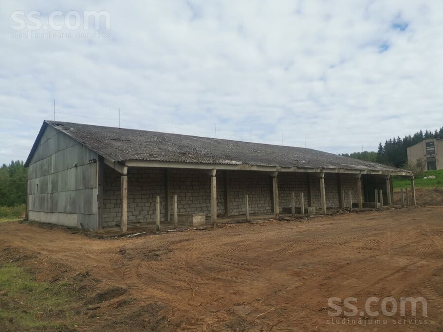 Cerību zvaigzne 1, Čornaja, Rēzekne un raj., Čornajas pag. — telpa
