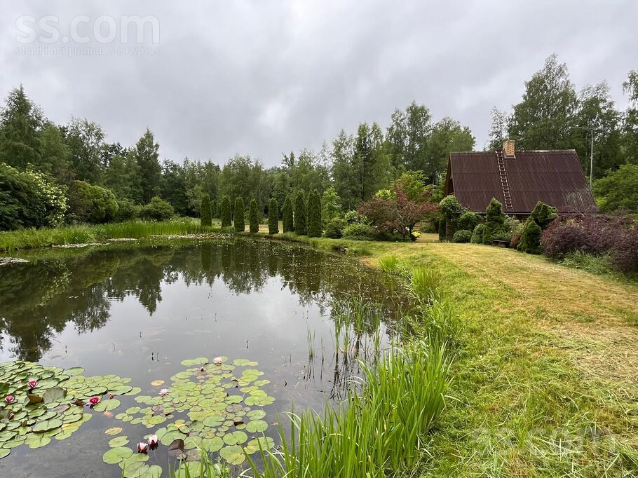 Saulgrieži, Klārmuiža, Talsi un raj., Dundagas pag. — maja