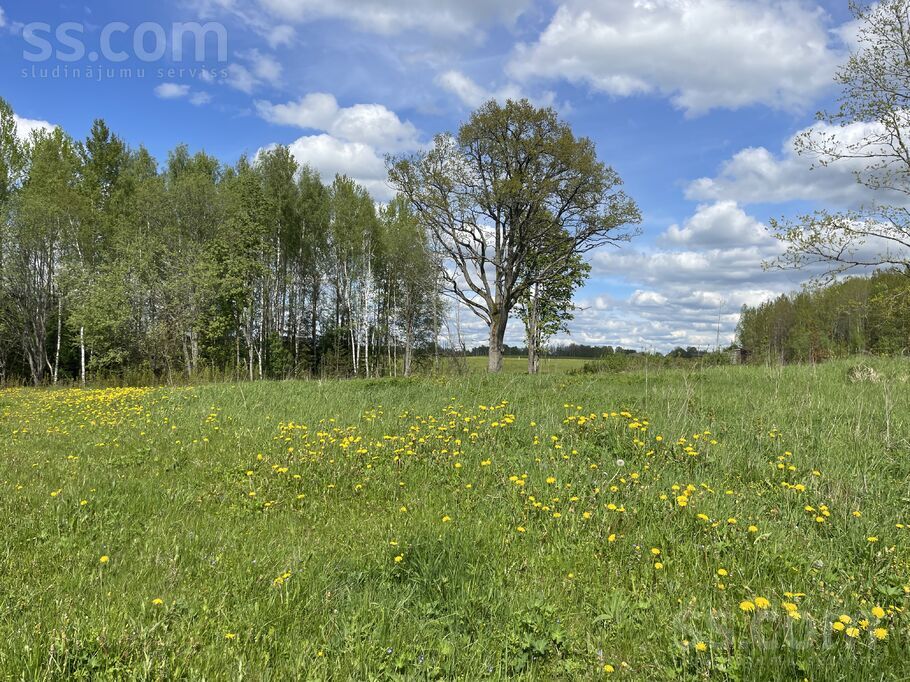 Lejaslāčplēši, Cēsis un raj., Jaunpiebalgas pag. — zeme
