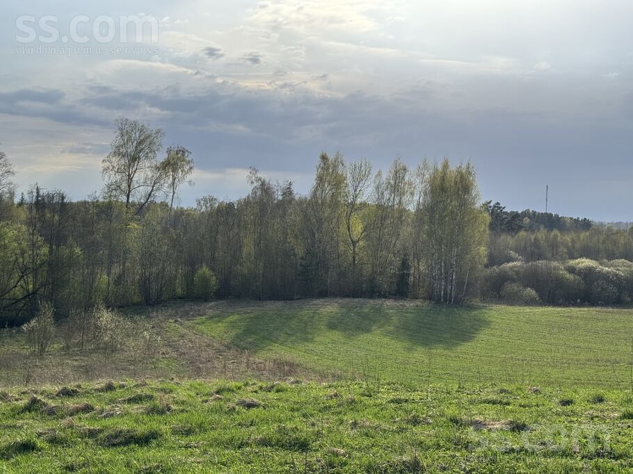 Limbaži un raj., Vidrižu pag. — vienseta